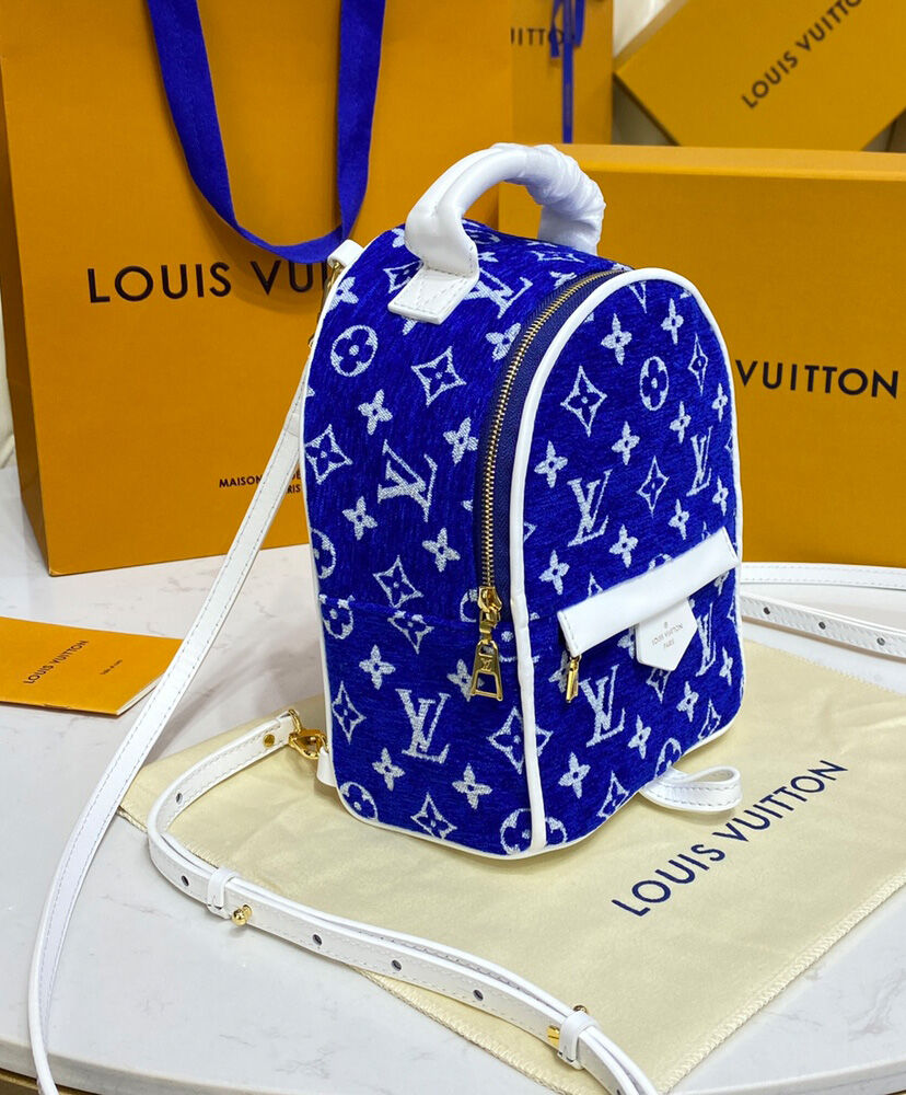 Louis Vuitton Palm Springs Mini M46207 Blue