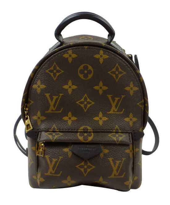 Louis Vuitton Monogram Palm Springs Backpack Mini Bag M41562 Brown