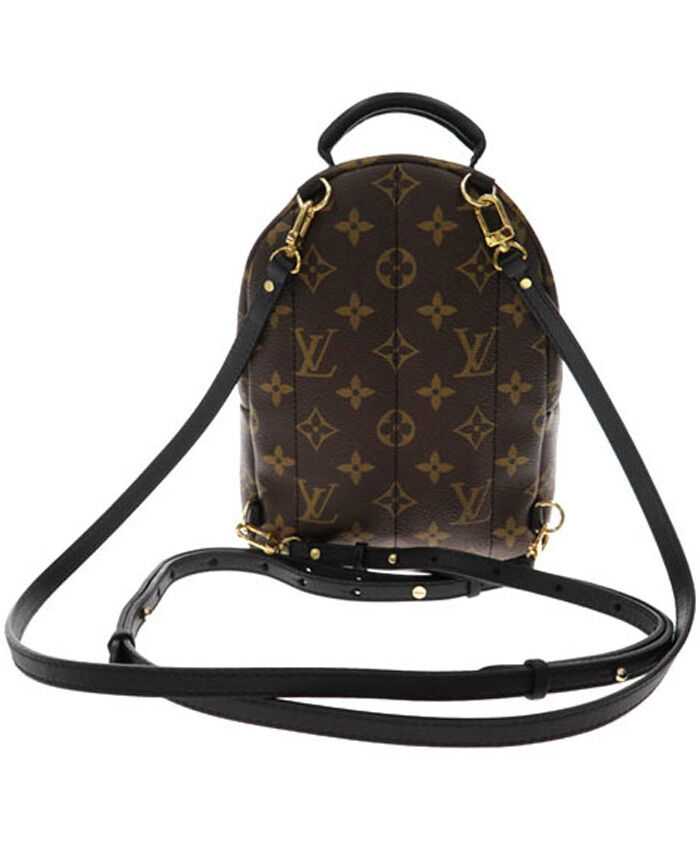 Louis Vuitton Monogram Palm Springs Backpack Mini Bag M41562 Brown