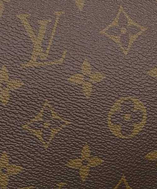 Louis Vuitton Speedy M41526 Brown