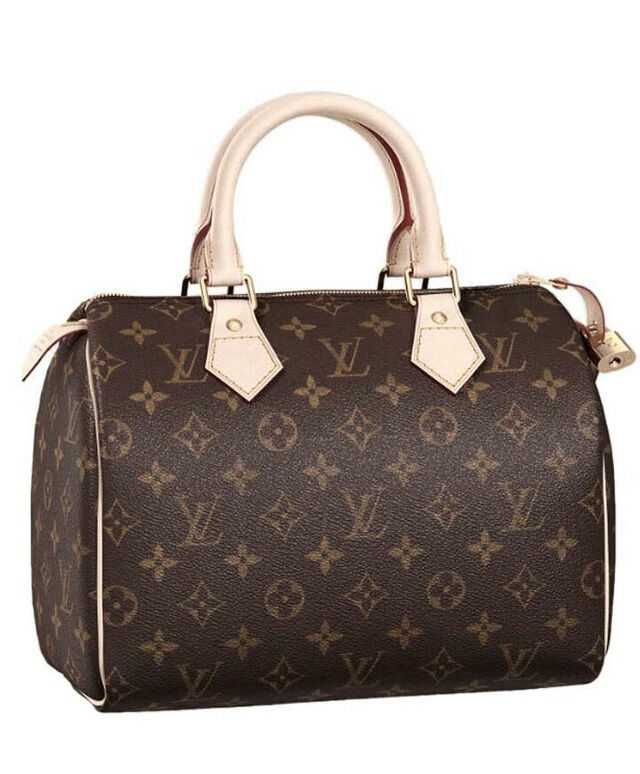 Louis Vuitton Speedy M41528 Brown