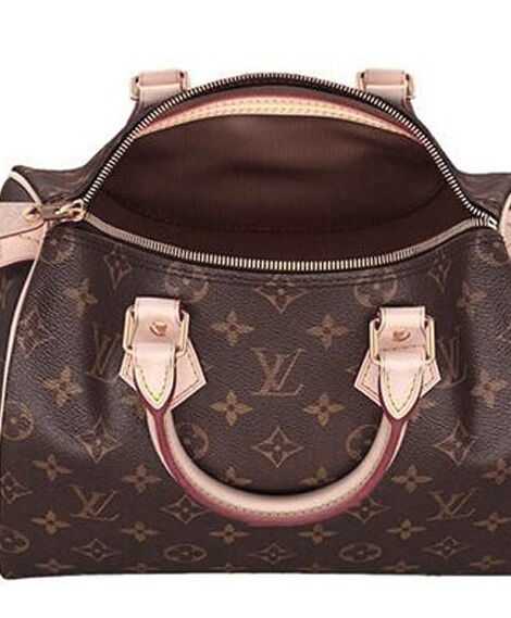 Louis Vuitton Speedy M41528 Brown