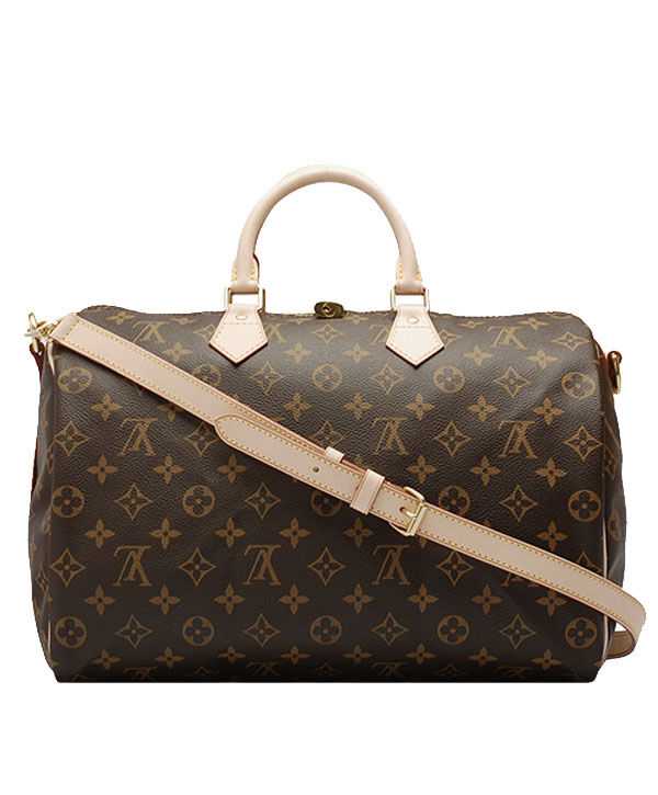 Louis Vuitton monogram speedy M40393 Brown