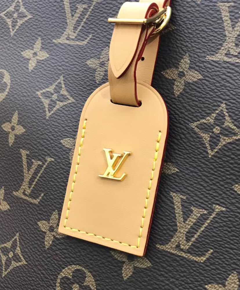 Louis Vuitton Odeon MM M45352 M45355 Brown