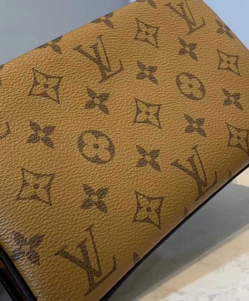 Louis Vuitton Pouche LV3 M45412 Brown