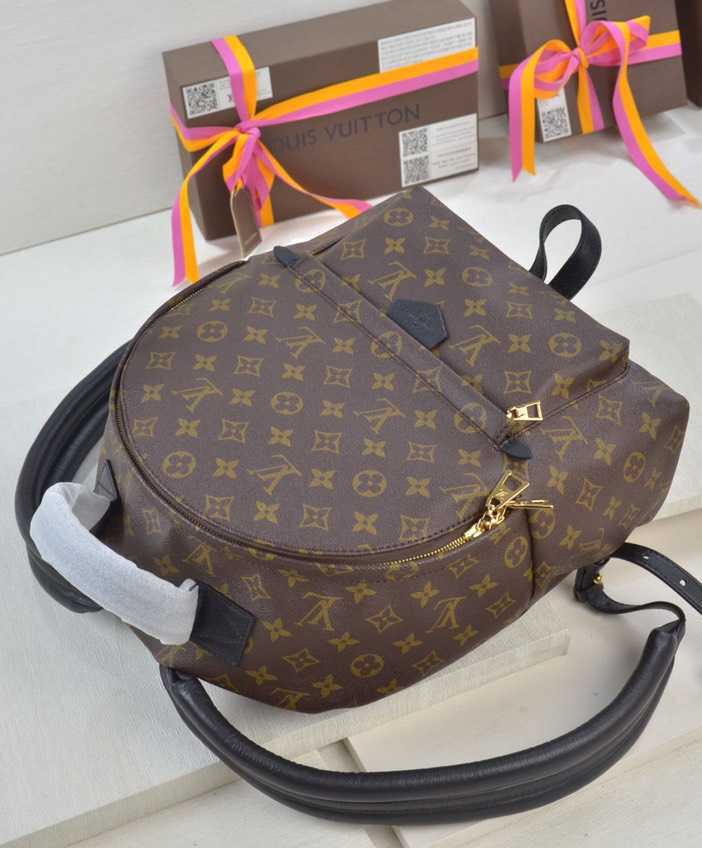 Louis vuitton Palm Springs Backpack MM M41561 Black