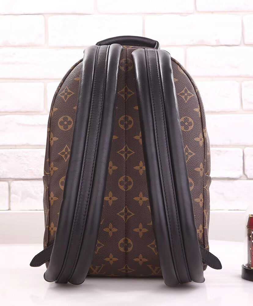 Louis Vuitton Palm Springs Pm M44870 Brown