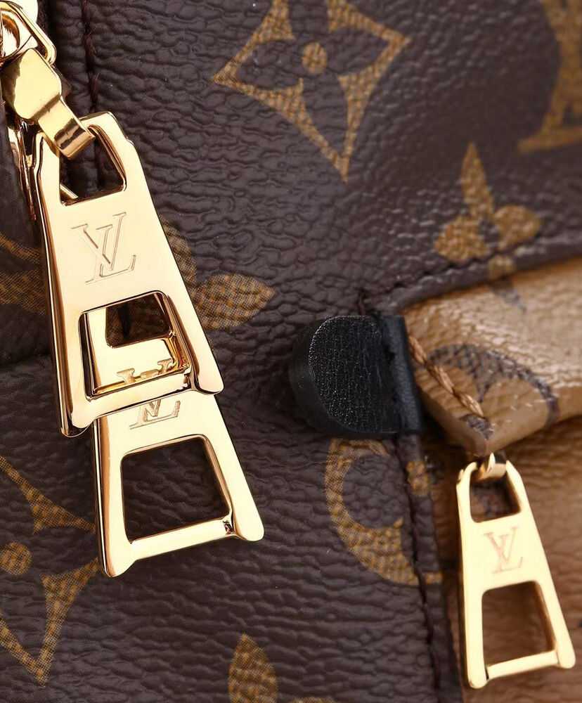 Louis Vuitton Palm Springs Pm M44870 Brown