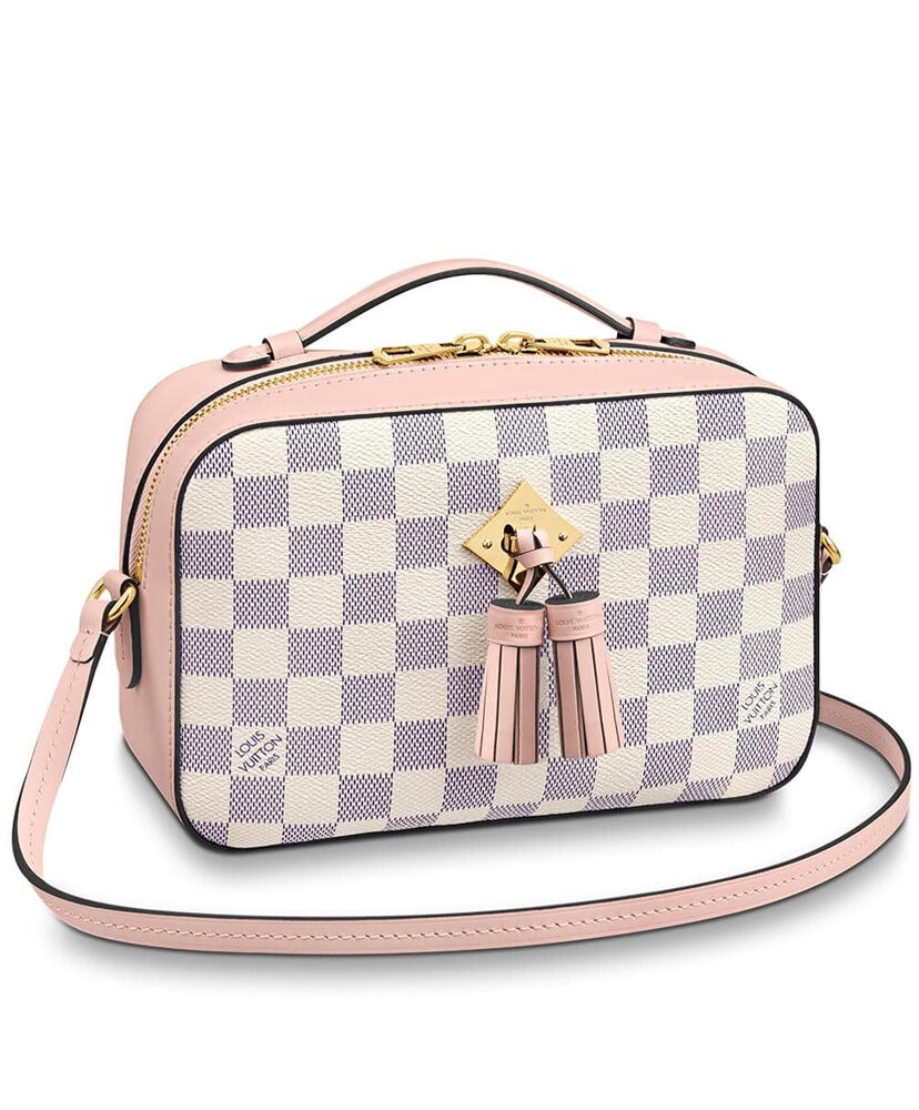 Louis Vuitton Saintonge N40154 Pink