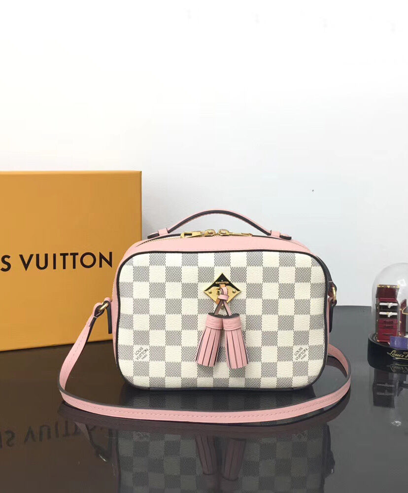 Louis Vuitton Saintonge N40154 Pink