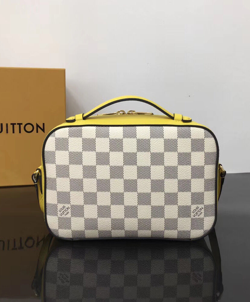 Louis Vuitton Saintonge N40154 Yellow