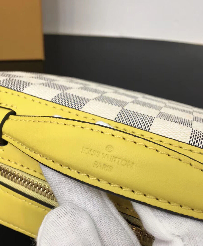 Louis Vuitton Saintonge N40154 Yellow